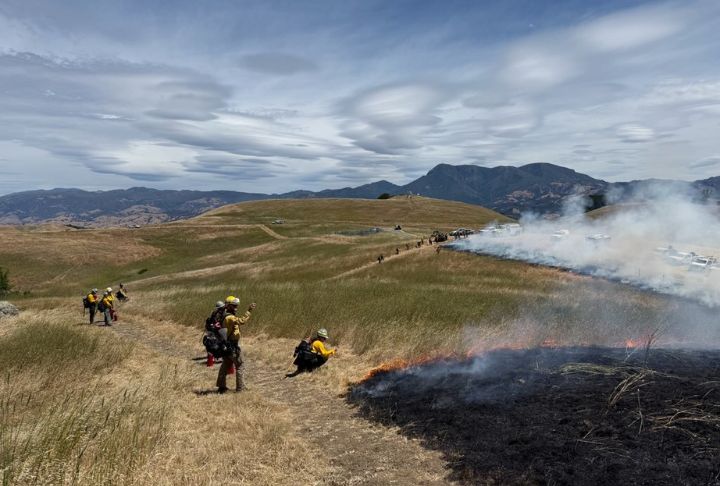 State Parks Wildfire and Forest Resilience Program and partners conducting a prescribed burn at Pepperwood Preserve. State Parks Wildfire and Forest Resilience Program and partners conducting a prescribed burn at Pepperwood Preserve.